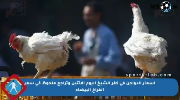 أسعار الدواجن في كفر الشيخ اليوم الاثنين وتراجع ملحوظ في سعر الفراخ البيضاء